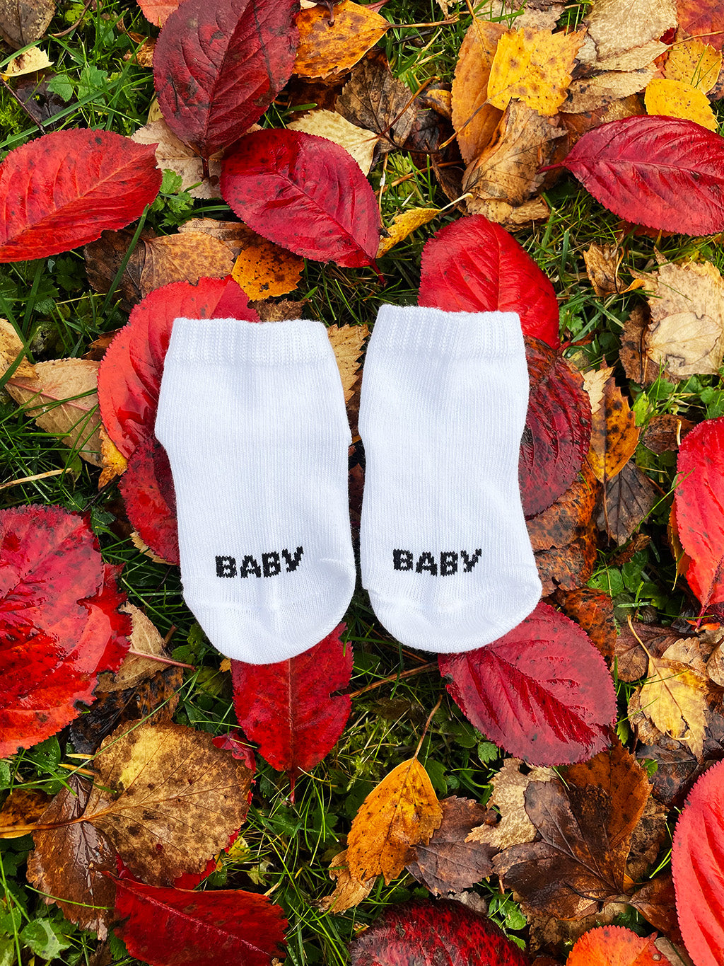 Family Socks (3 pairs)