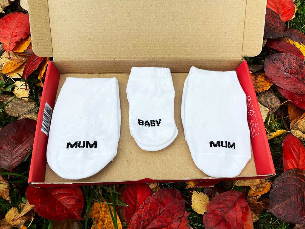 Family Socks (3 pairs)